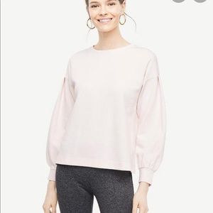 ✨ NWOT Ann Taylor Sweater ✨